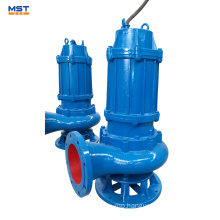 Best Submersible Pumps Brands